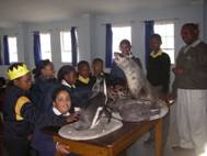 2009_penguins_1