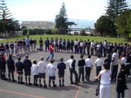2009_sharks_4