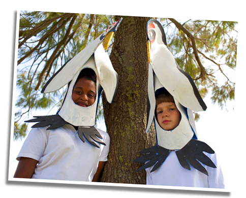 Penguins