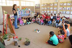 preprimary_14